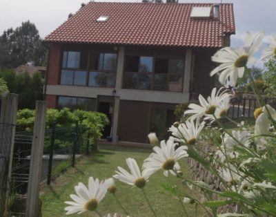 O DESESTRES DA CASTIÑEIRA